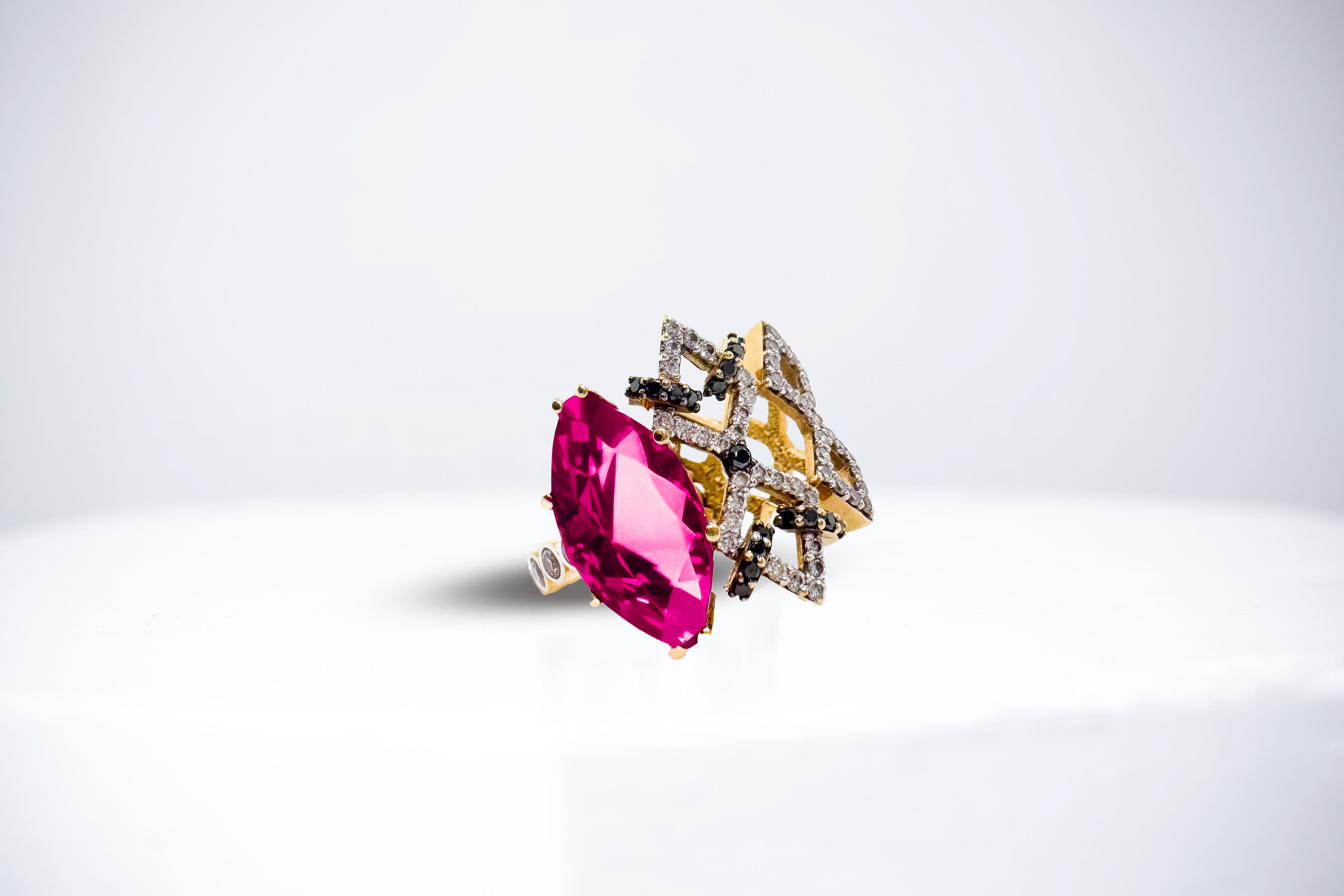 bague_Les_Aguerries_Tassin